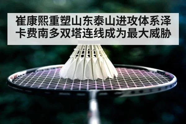 崔康熙重塑山东泰山进攻体系泽卡费南多双塔连线成为最大威胁