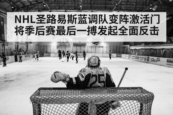 ice hockey playoff action